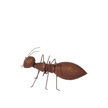 Rusted ant ornament