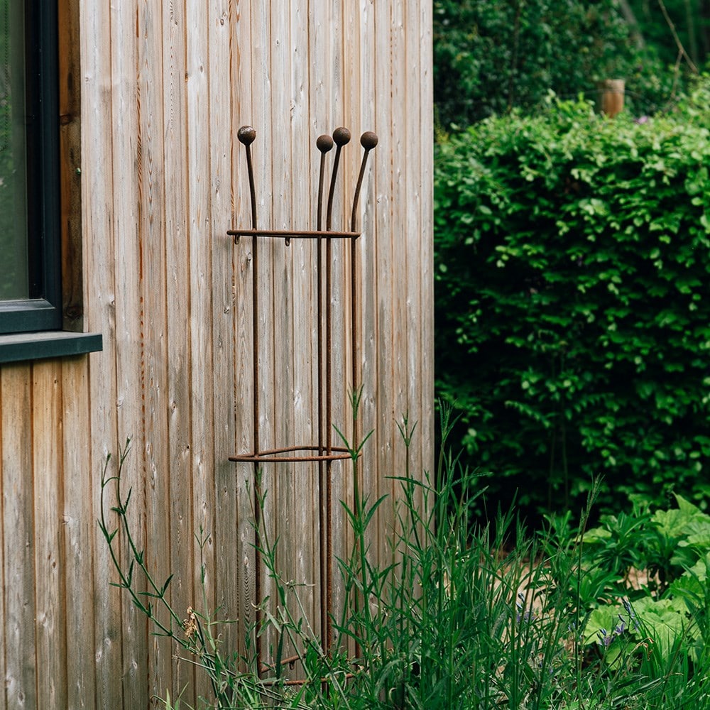 Product options image