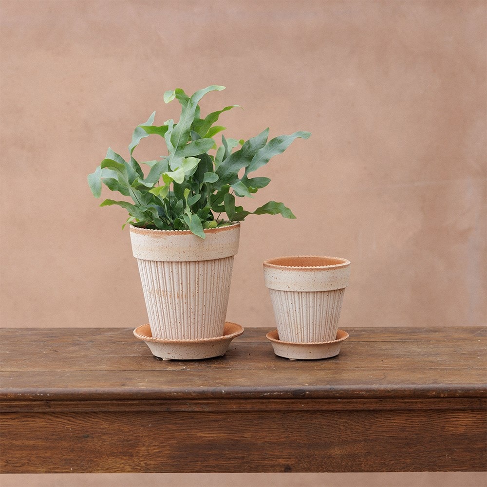 Bergs ribbed tapered plant pot with saucer - terracotta