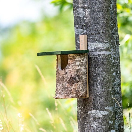 Natural birch log bird nest box - open