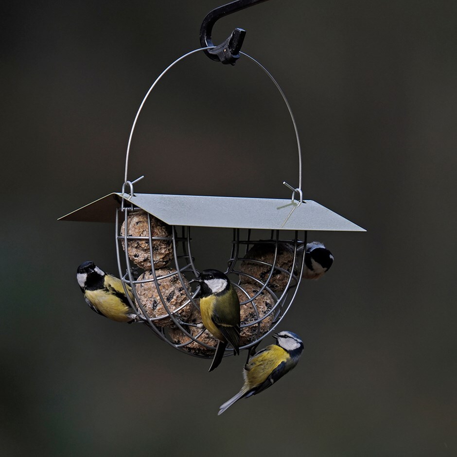 Suet ball basket bird feeder - green