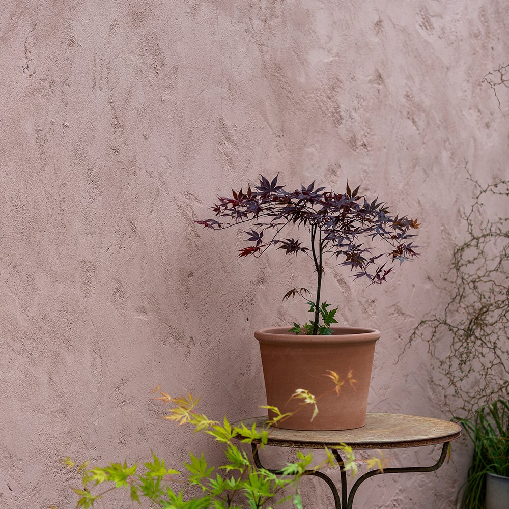 Product options image