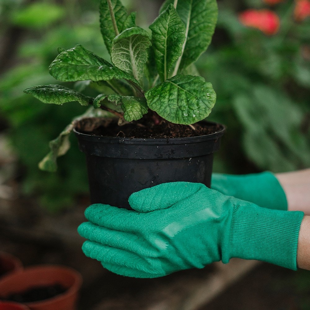 Ultimate all round gardening gloves - green