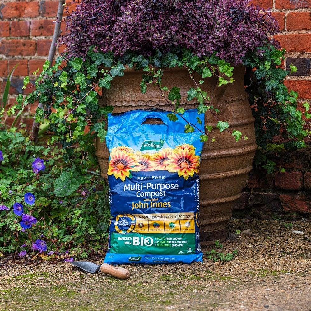 Peat-free multi-purpose compost with John Innes