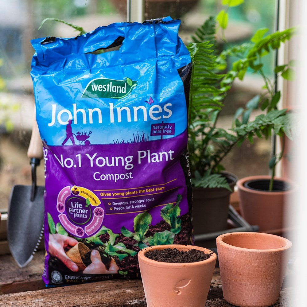 Peat-free young plant compost with John Innes no.1 