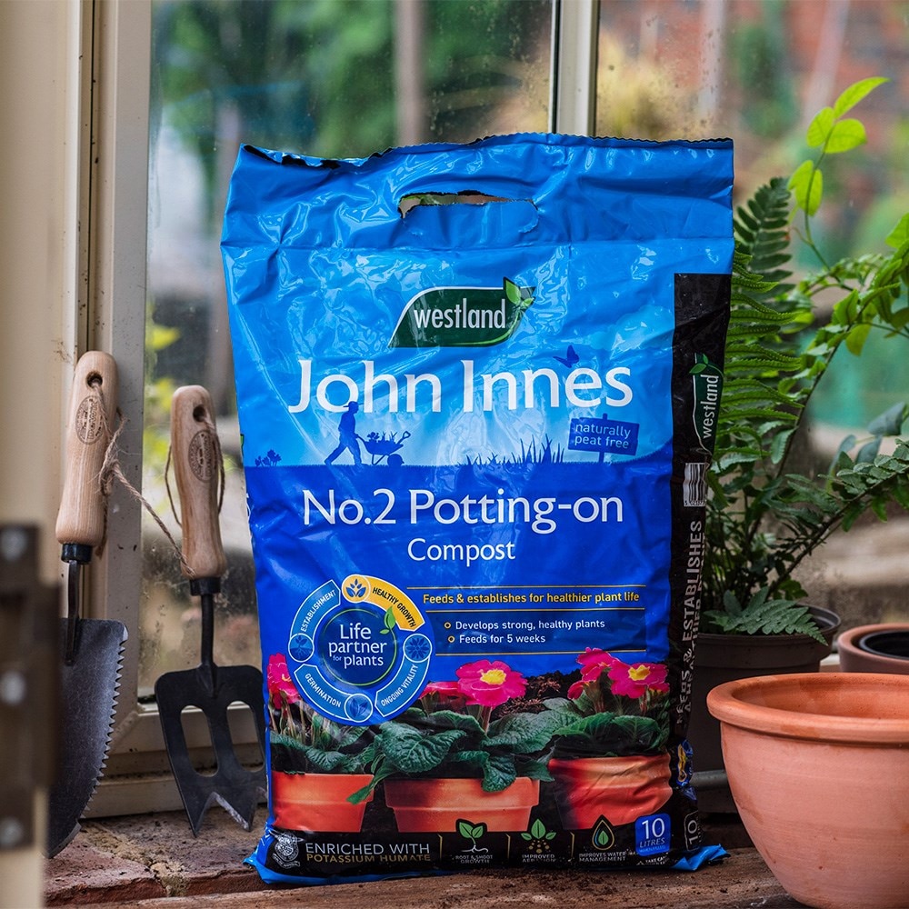Peat-free potting on compost with John Innes no.2