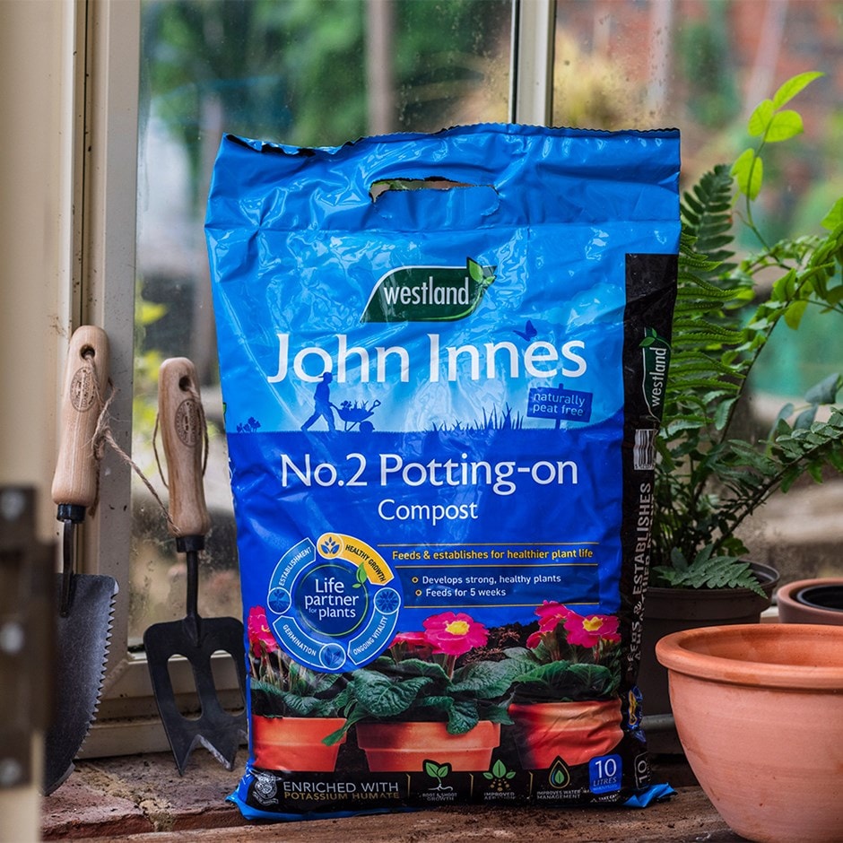 Peat free potting on compost with John Innes No.2