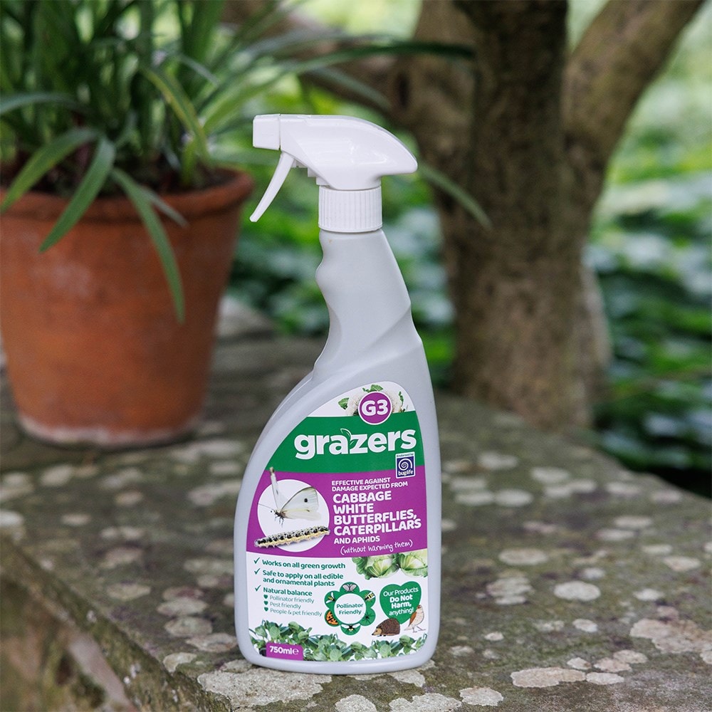 Grazers G3 cabbage white butterflies, caterpillars and aphids deterrent spray