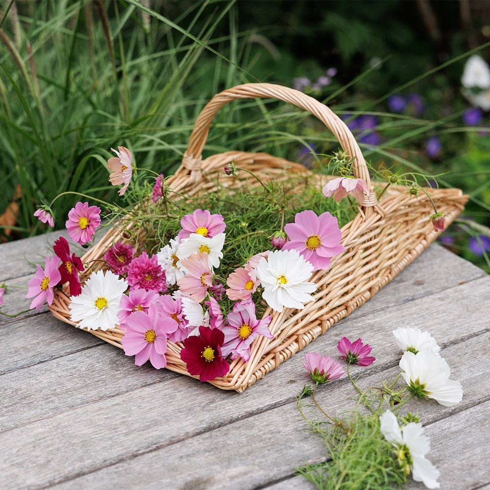 Herb and flower trug
