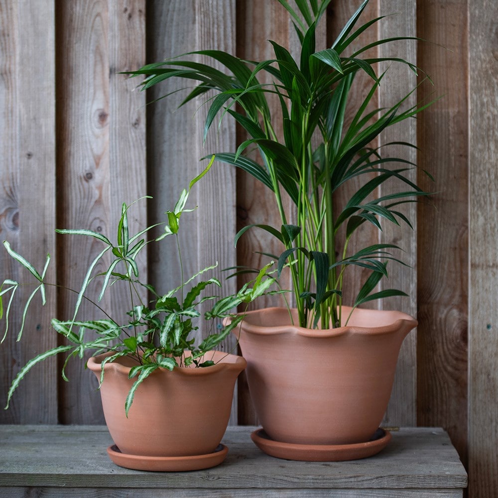 Terracotta ruffle pot with glazed saucer 