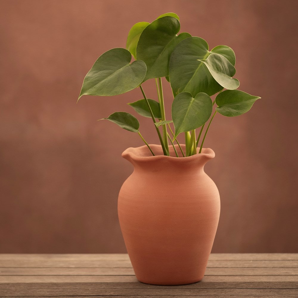 Terracotta ruffle vase with glazed interior