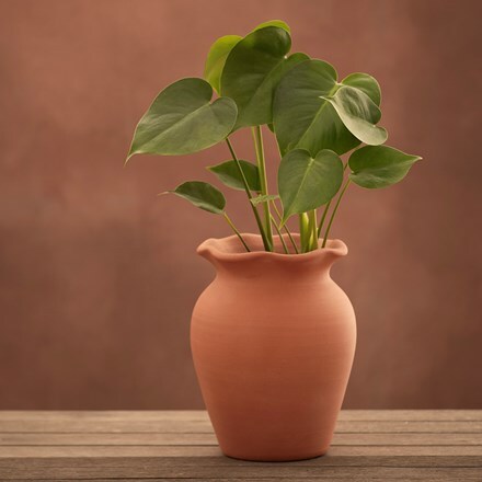 Terracotta ruffle vase with glazed interior