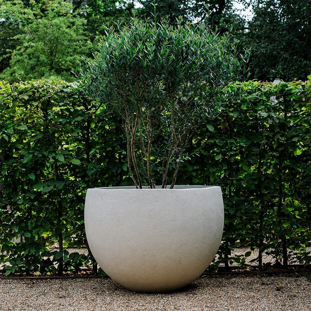 Extra large globe planter - cream