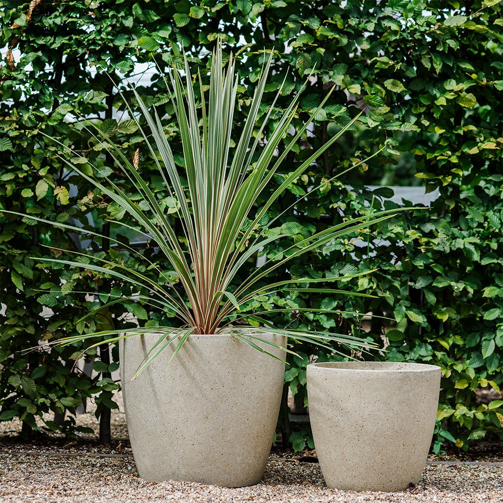 Tapered classic planter - cream