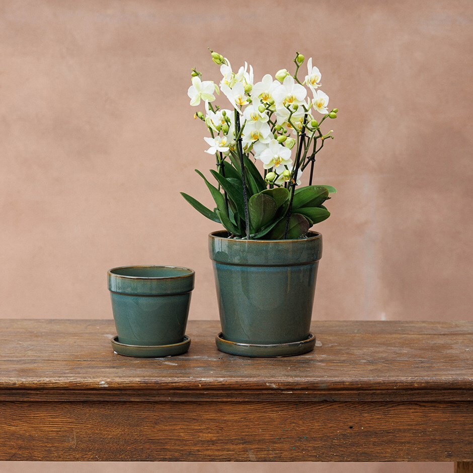 Reactive glaze plant pot with saucer - green 