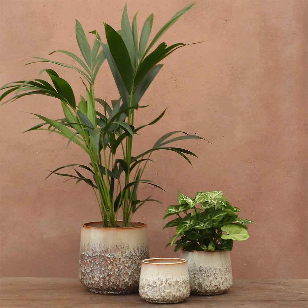 Product options image