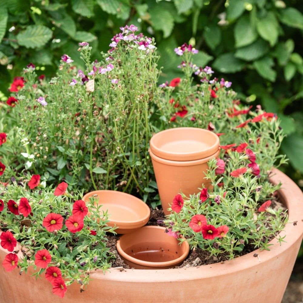 Terracotta pot watering olla with lid - set of 3