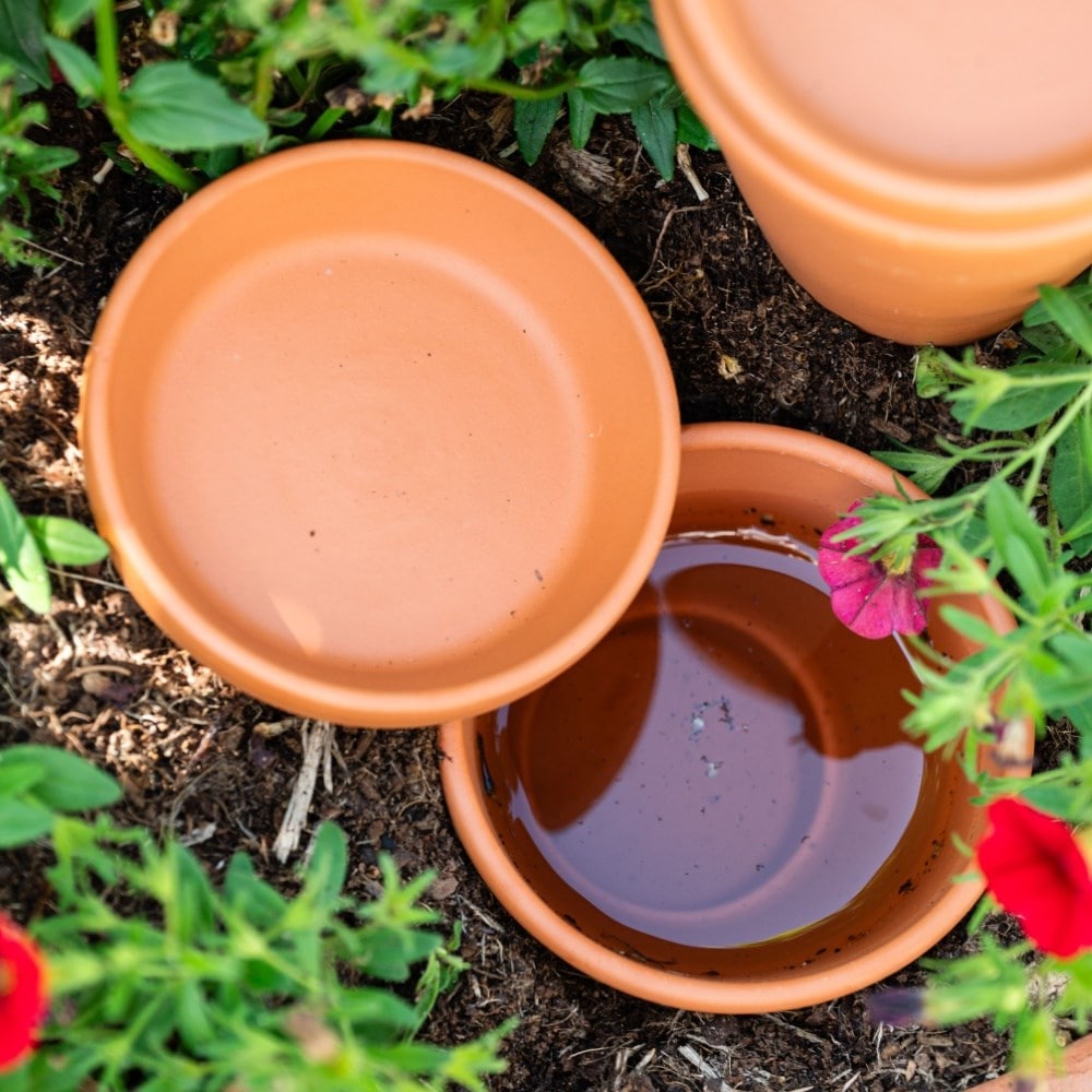 Terracotta pot watering olla with lid - set of 3