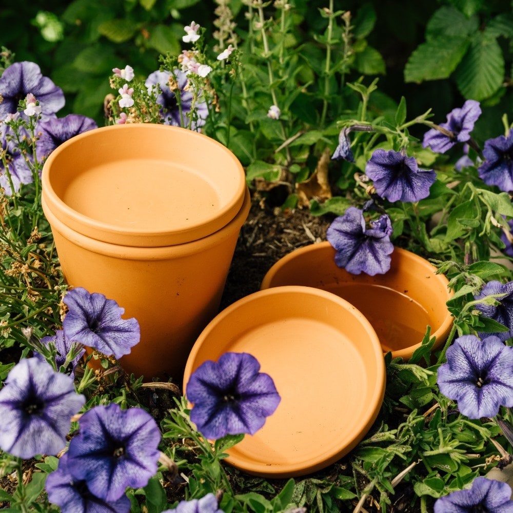 Terracotta pot watering olla with lid - set of 2