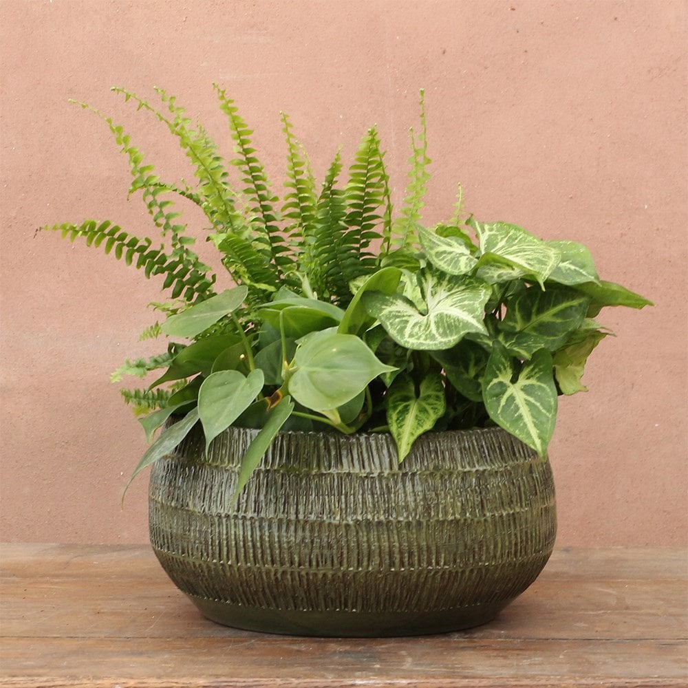 Large rustic textured plant bowl - dark green