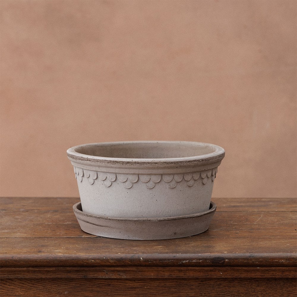 Bergs scalloped tapered plant bowl & saucer - grey terracotta