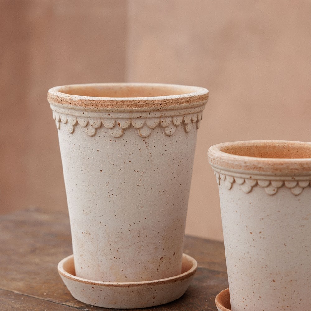 Buy Scalloped tall pot & saucer - terracotta : Delivery by Crocus