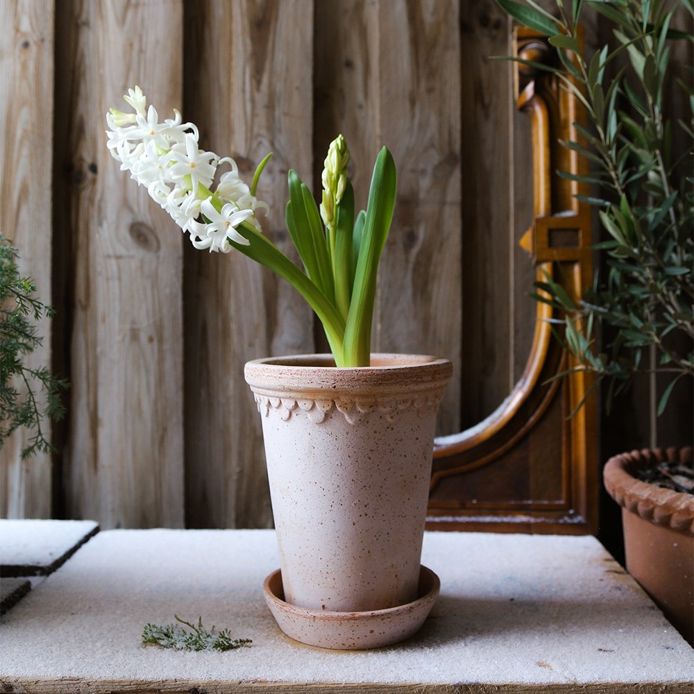 Scalloped tall pot & saucer - terracotta 