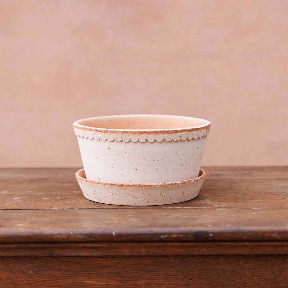 Simple scallop plant bowl & saucer - terracotta