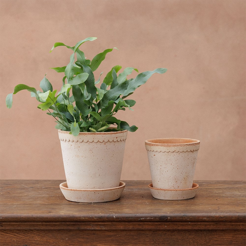Bergs simple scallop plant pot & saucer - terracotta