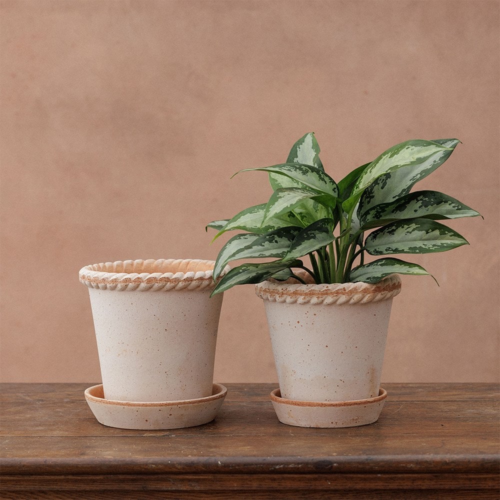 Bergs woven edge plant pot & saucer - terracotta