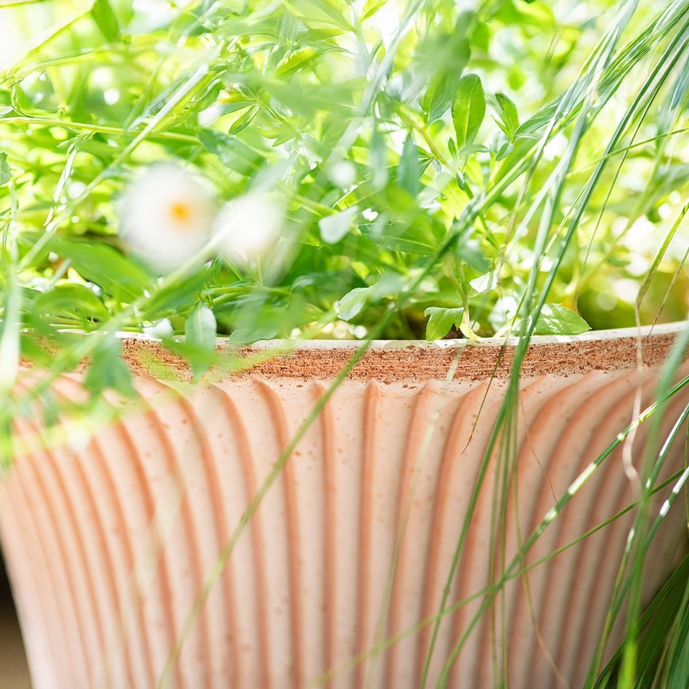 Flared ribbed terracotta pot & saucer