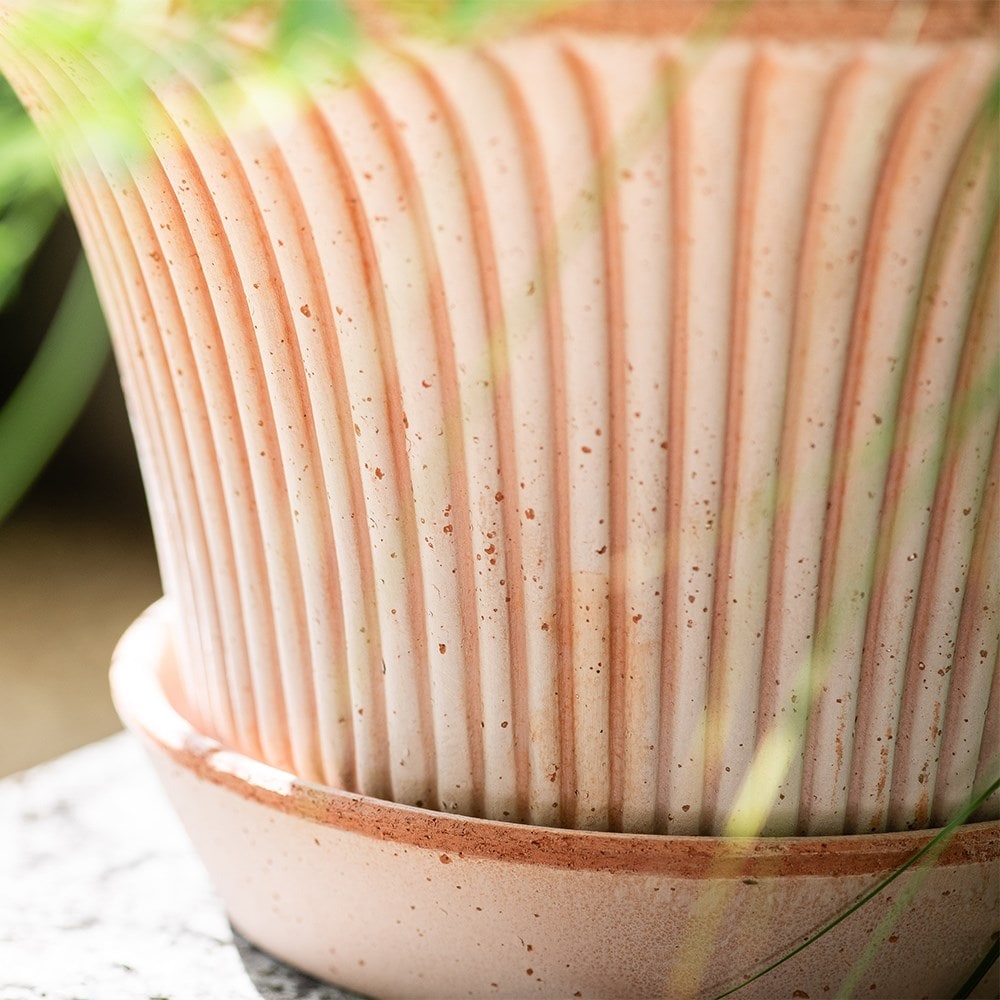Flared ribbed terracotta pot & saucer
