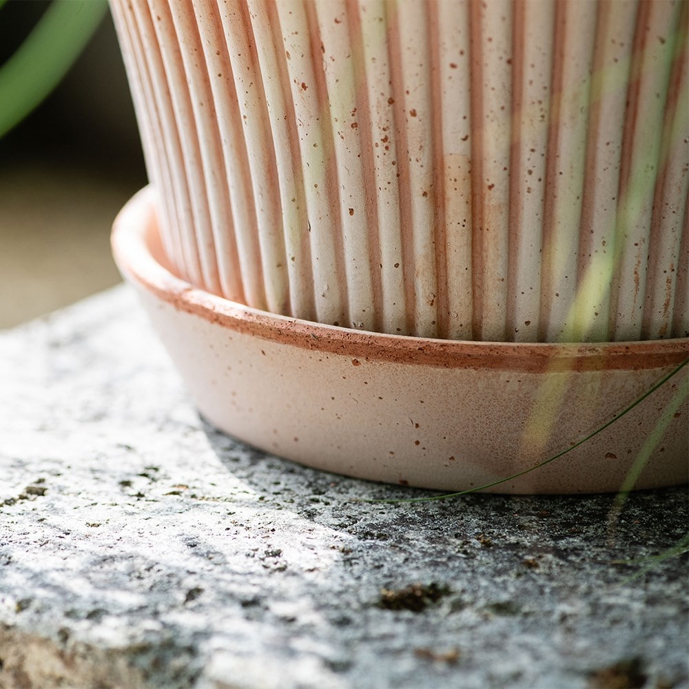 Flared ribbed terracotta pot & saucer