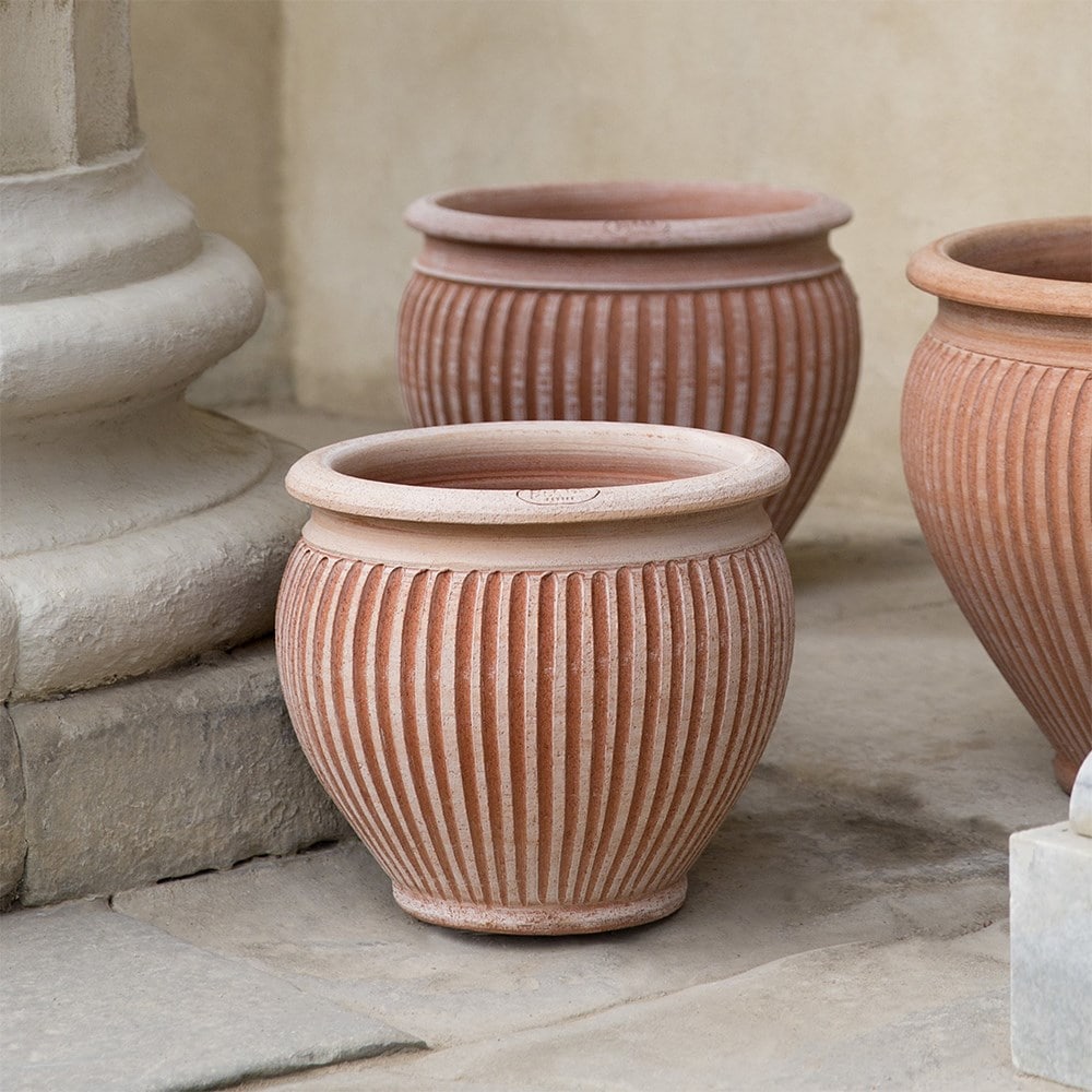 Buy Curved ribbed terracotta pot: Delivery by Crocus