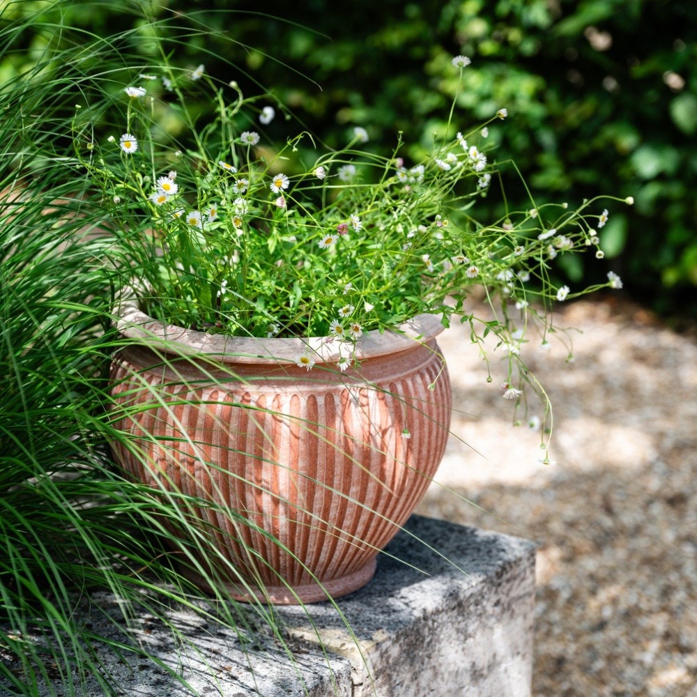 Curved ribbed terracotta pot