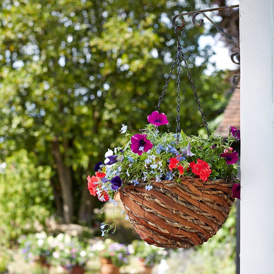 Swirl rattan hanging basket