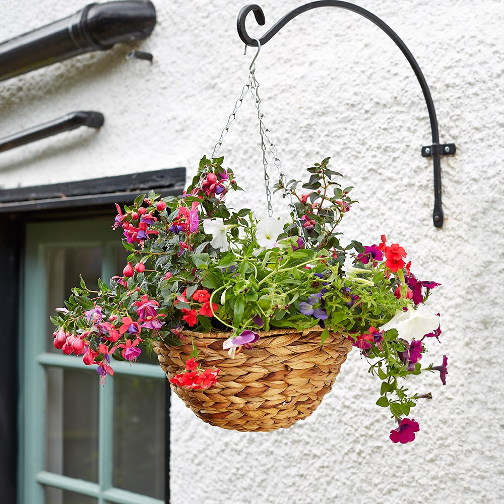 Water hyacinth hanging basket
