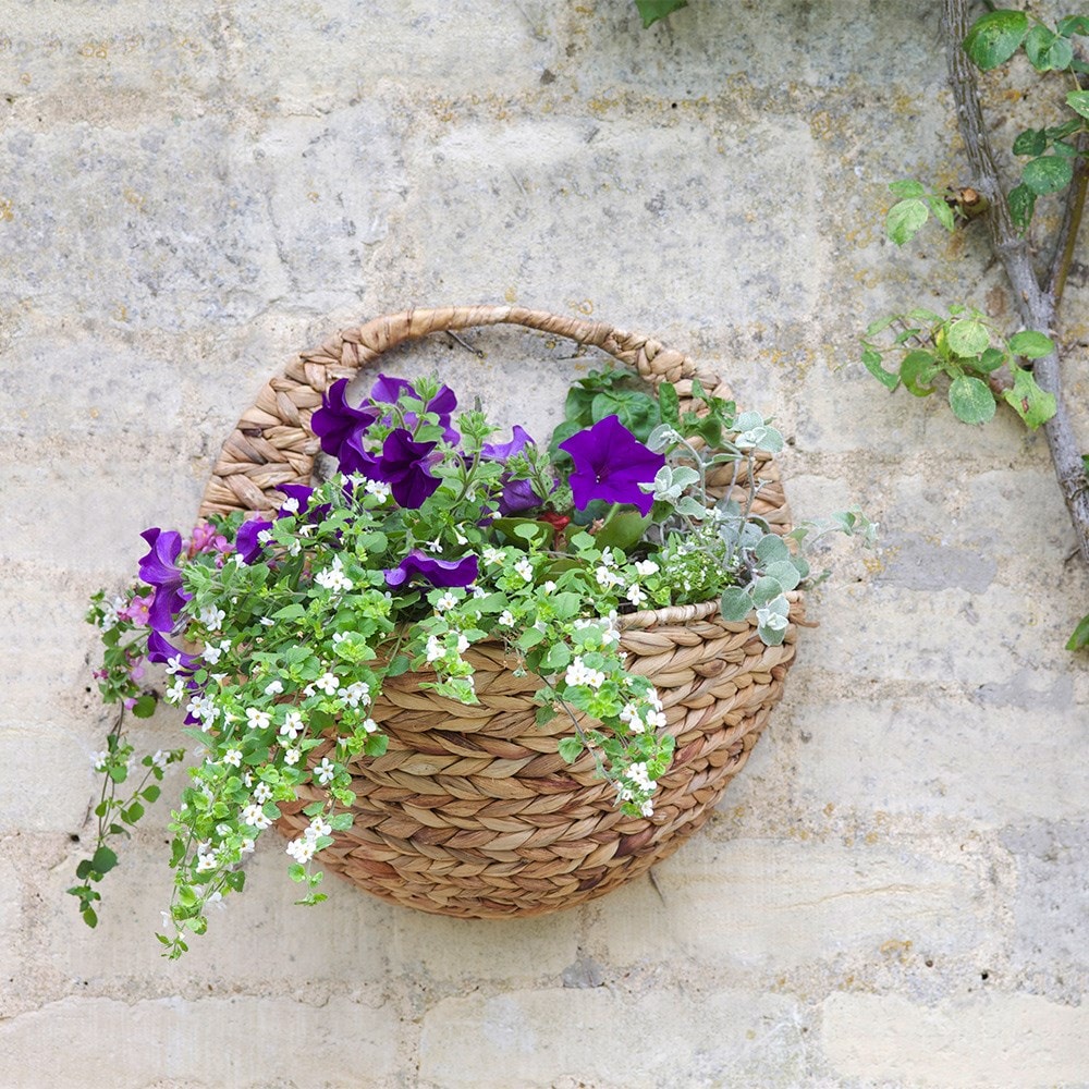 Water hyacinth wall basket