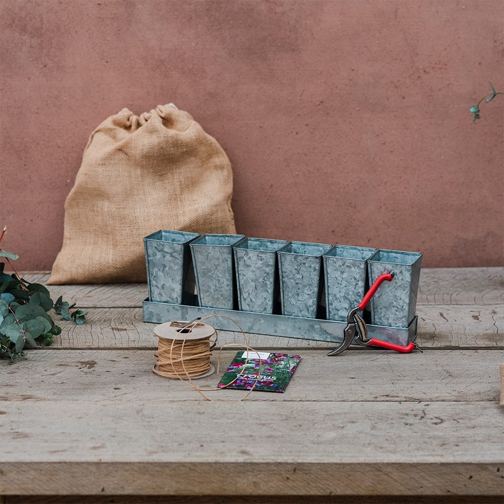 The sweet pea grower’s kit