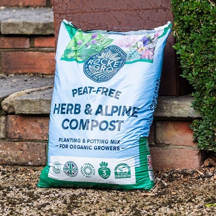 RocketGro herb and alpine compost