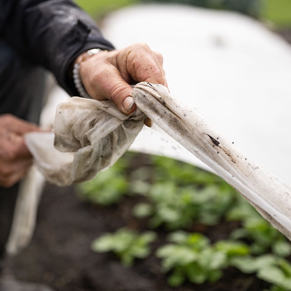 Biofleece plastic free plant fleece - 18gsm