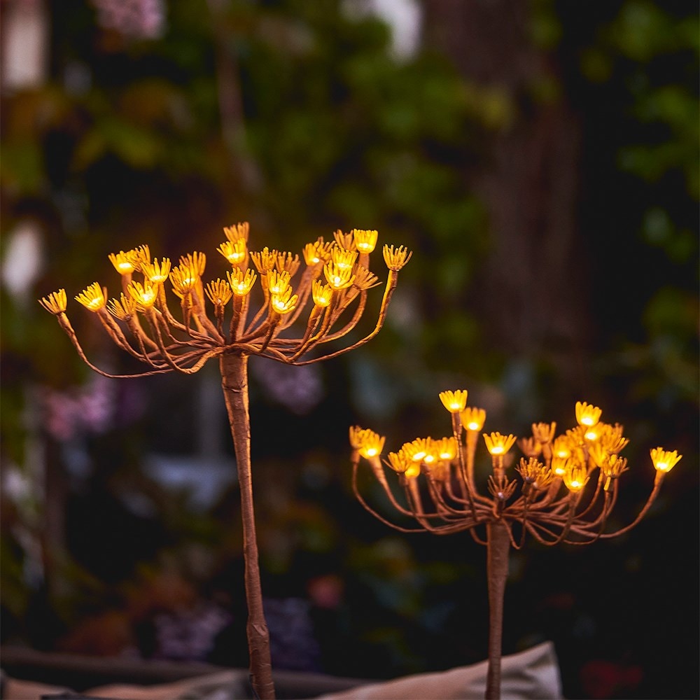 Solar wild fennel branch light