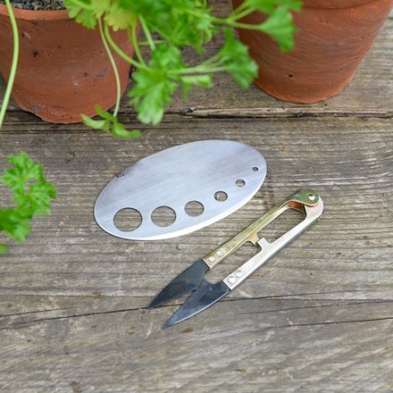 Burgon and Ball herb harvester and snip gift set