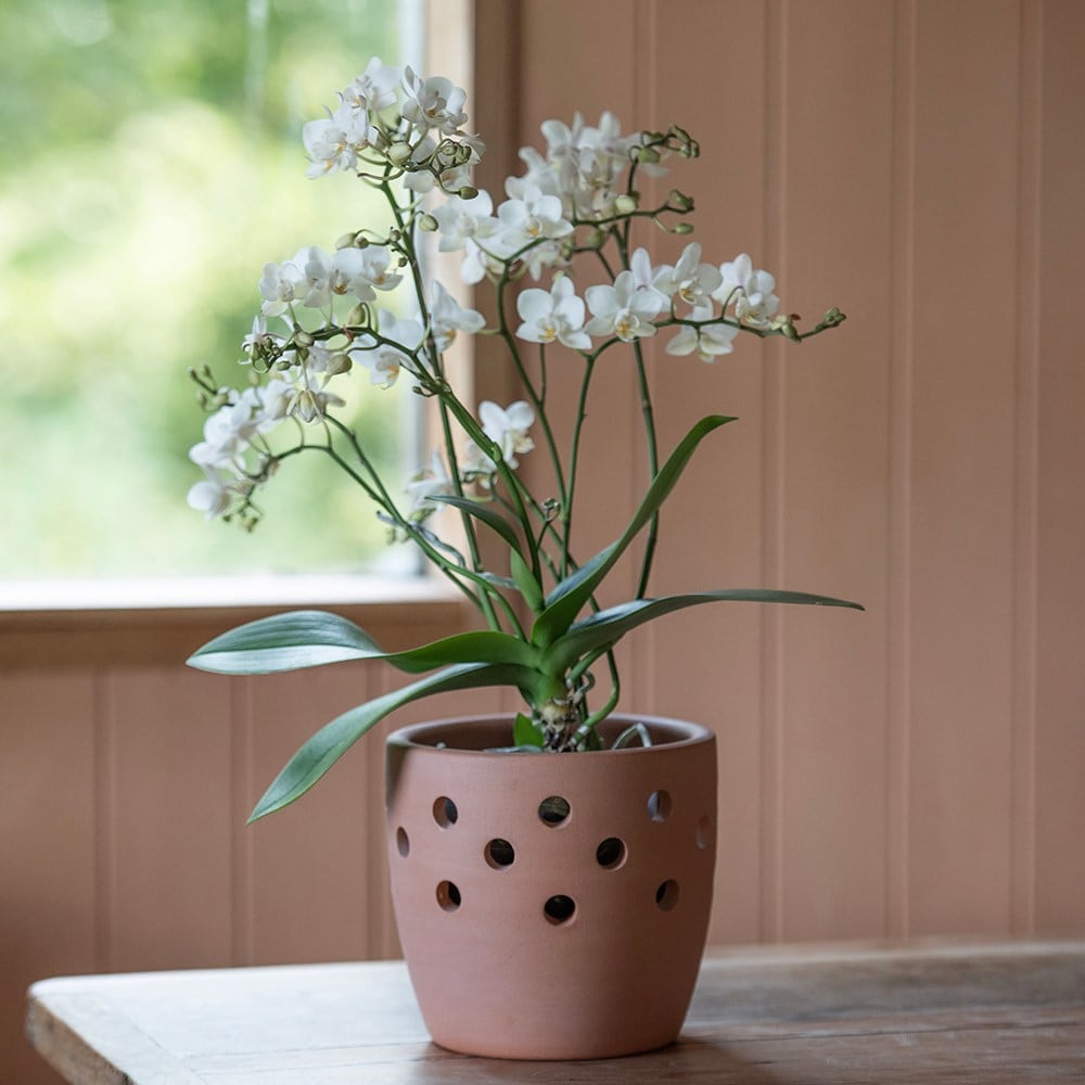 Product options image