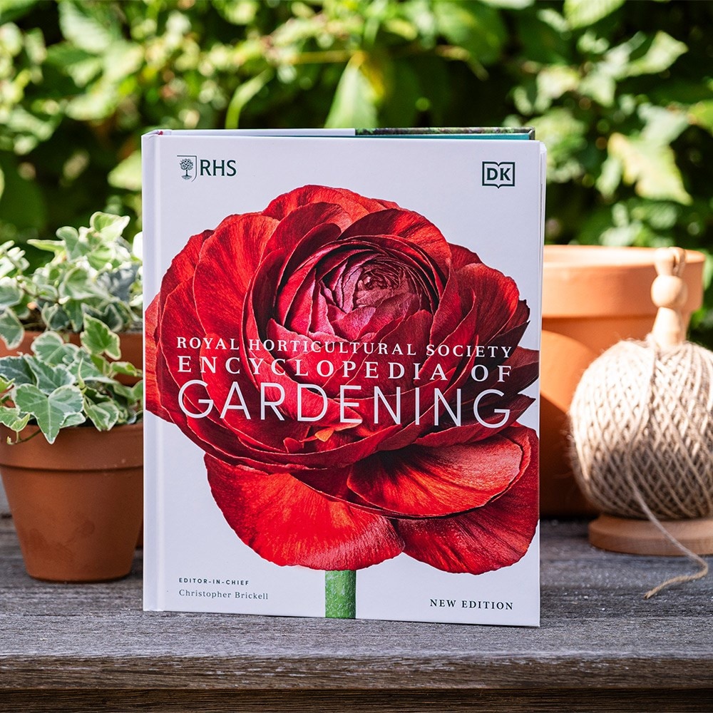 Product options image