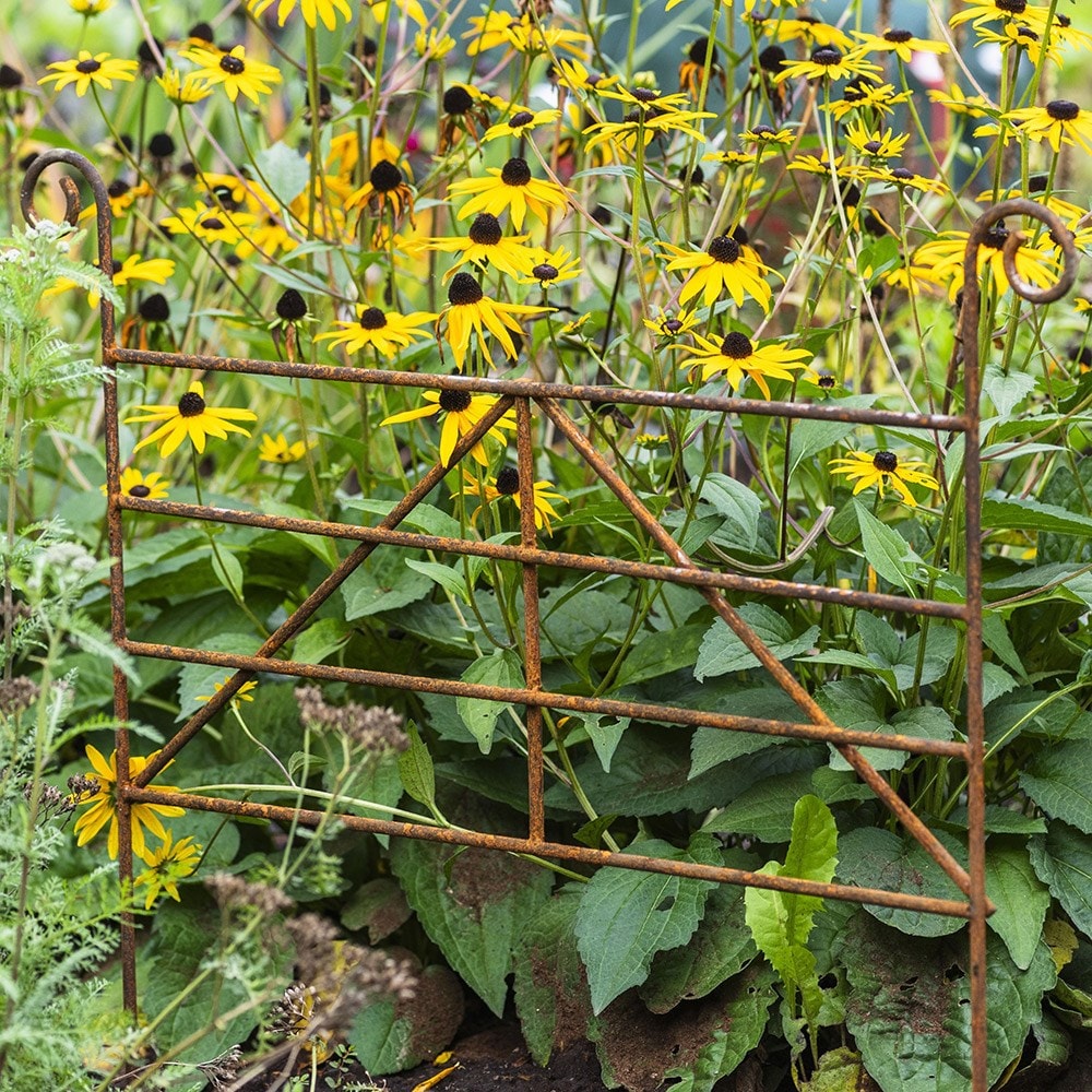 Metal ornate border panel - rust 