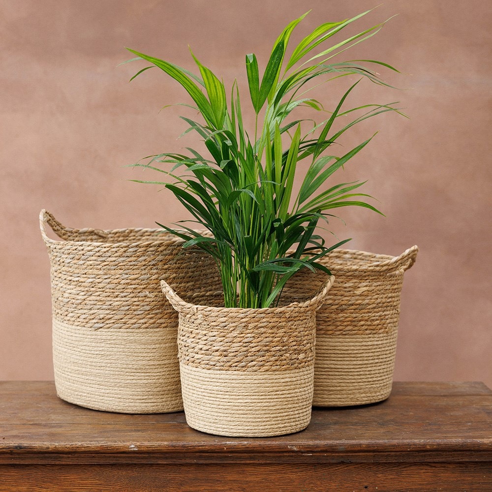 Seagrass planter two tone - set of 3