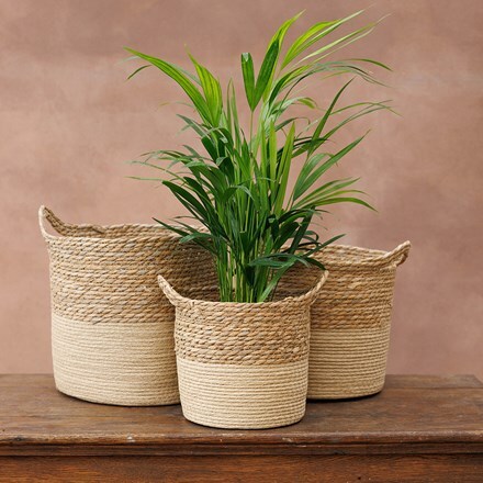 Seagrass planter two tone - set of 3
