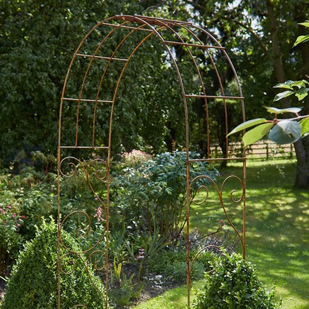 Rambling rose garden arch - rust
