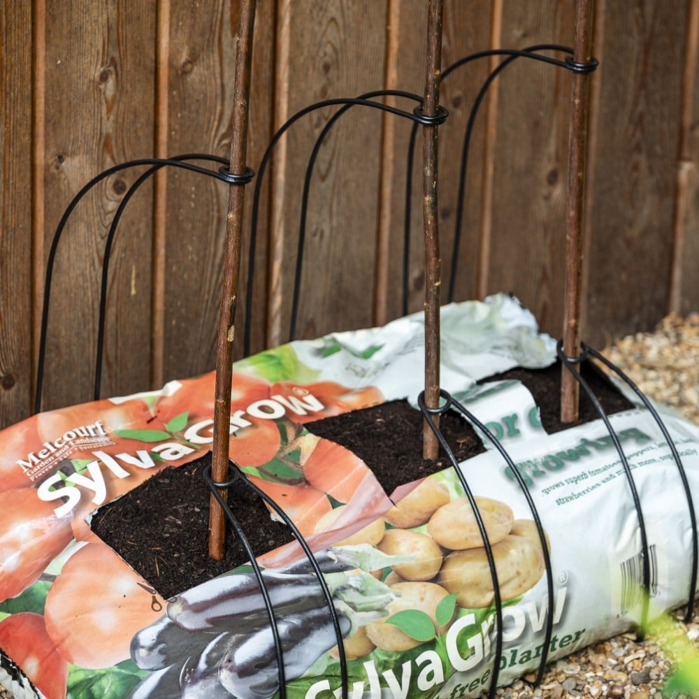 Growbag cane supports - triple pack